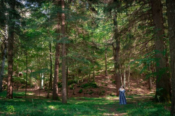 a person standing in the middle of a forest