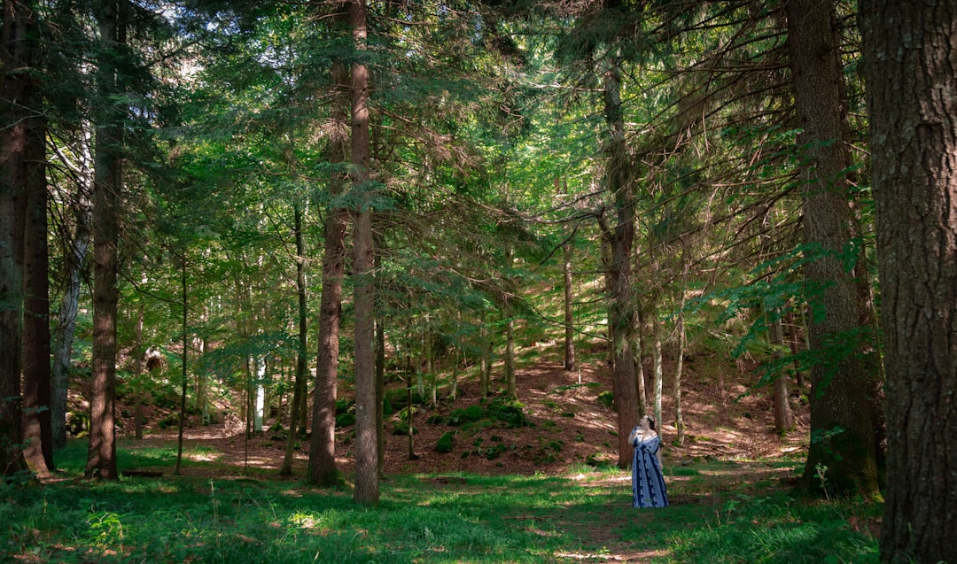 a person standing in the middle of a forest